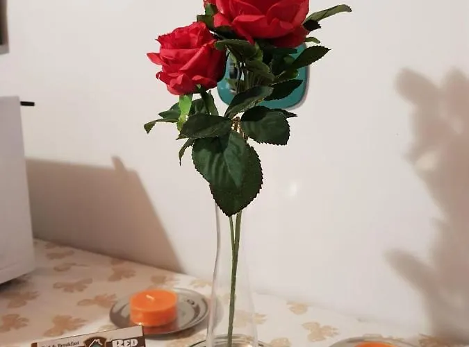 Boviobed B&B Pescara